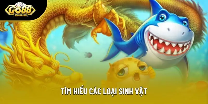 Tìm hiểu các loại sinh vật Tìm hiểu các loại sinh vật